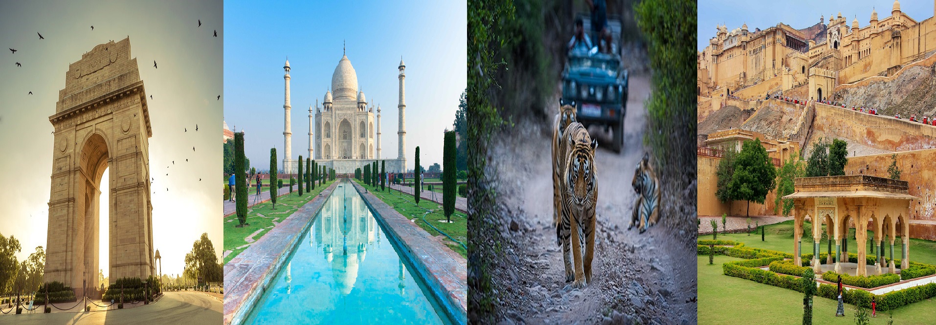 Golden Triangle with Ranthambhore and Udaipur